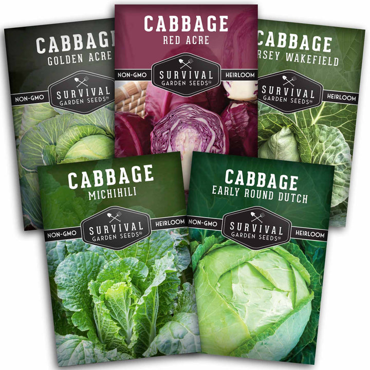 5-Variety Heirloom Cabbage Seed Collection – Non-GMO Green, Red &amp; Napa Cabbages for Spring and Fall Gardens