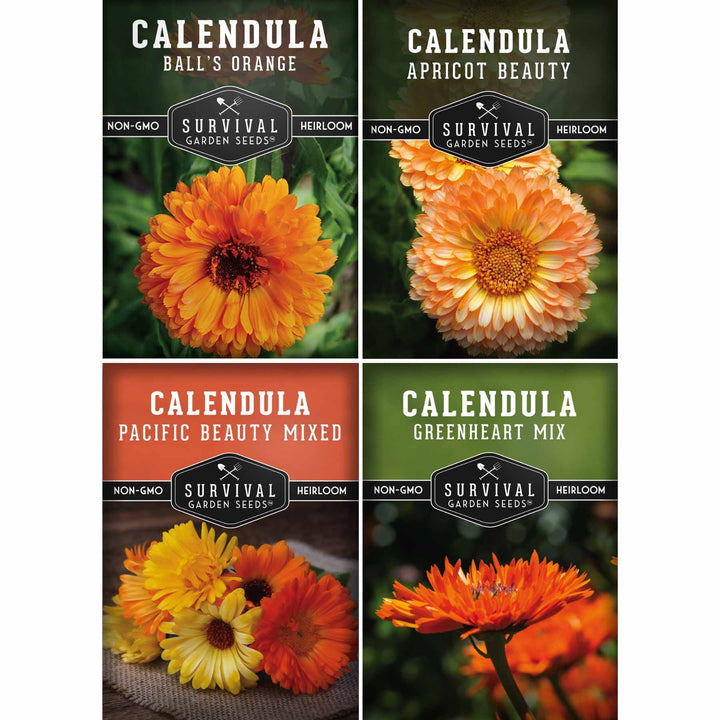 Calendula Seed Collection – Pacific Beauty, Apricot Beauty, Balls Orange &amp; Greenheart for Colorful, Herbal Blooms