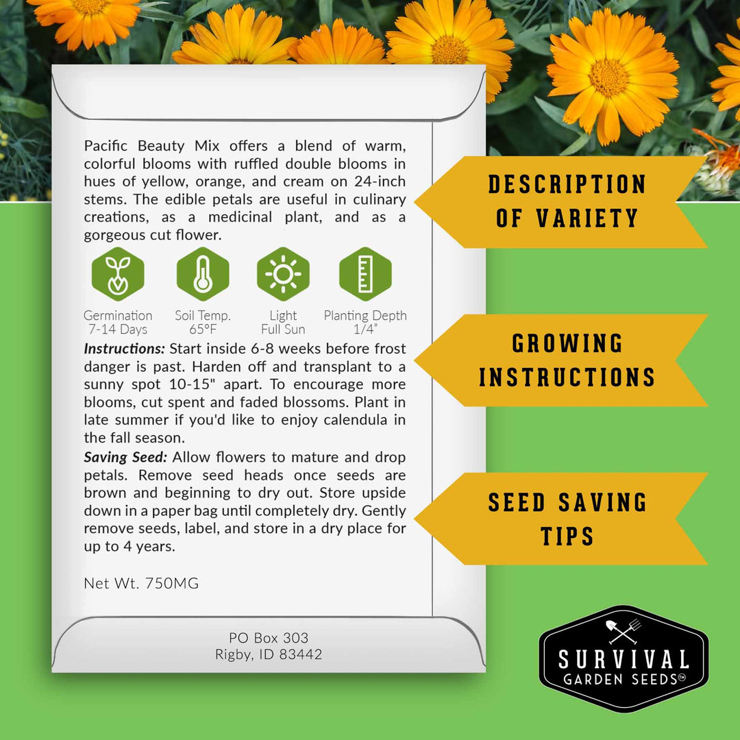 Calendula Seed Collection – Pacific Beauty, Apricot Beauty, Balls Orange &amp; Greenheart for Colorful, Herbal Blooms