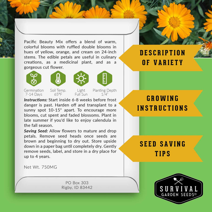 Calendula Seed Collection – Pacific Beauty, Apricot Beauty, Balls Orange &amp; Greenheart for Colorful, Herbal Blooms