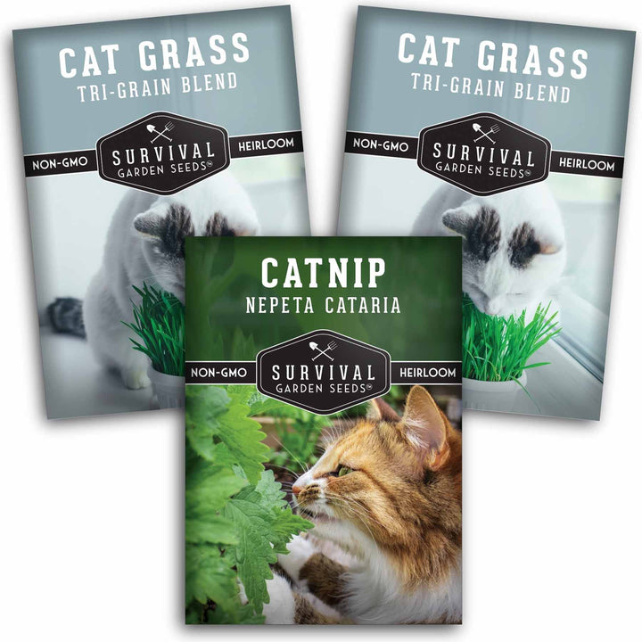 Cat Grass &amp; Catnip Seed Collection – Fun, Healthy Greens &amp; Enrichment Herbs for Indoor Cats