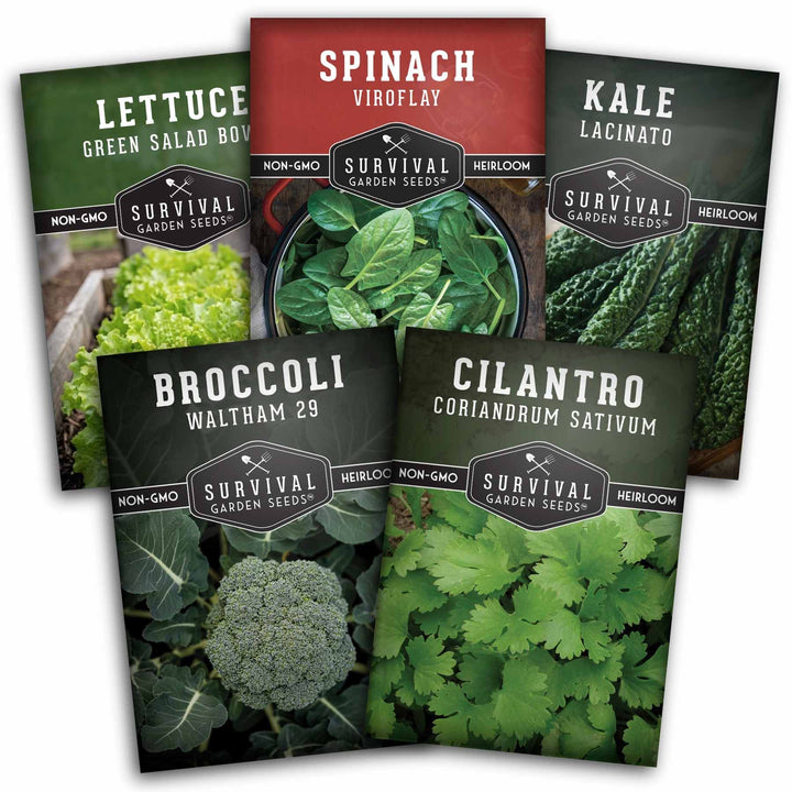 Cool Weather Garden Seeds Collection – 5 Heirloom Non-GMO Vegetables for Fall &amp; Spring Planting | Cold-Hardy Greens &amp; Herbs