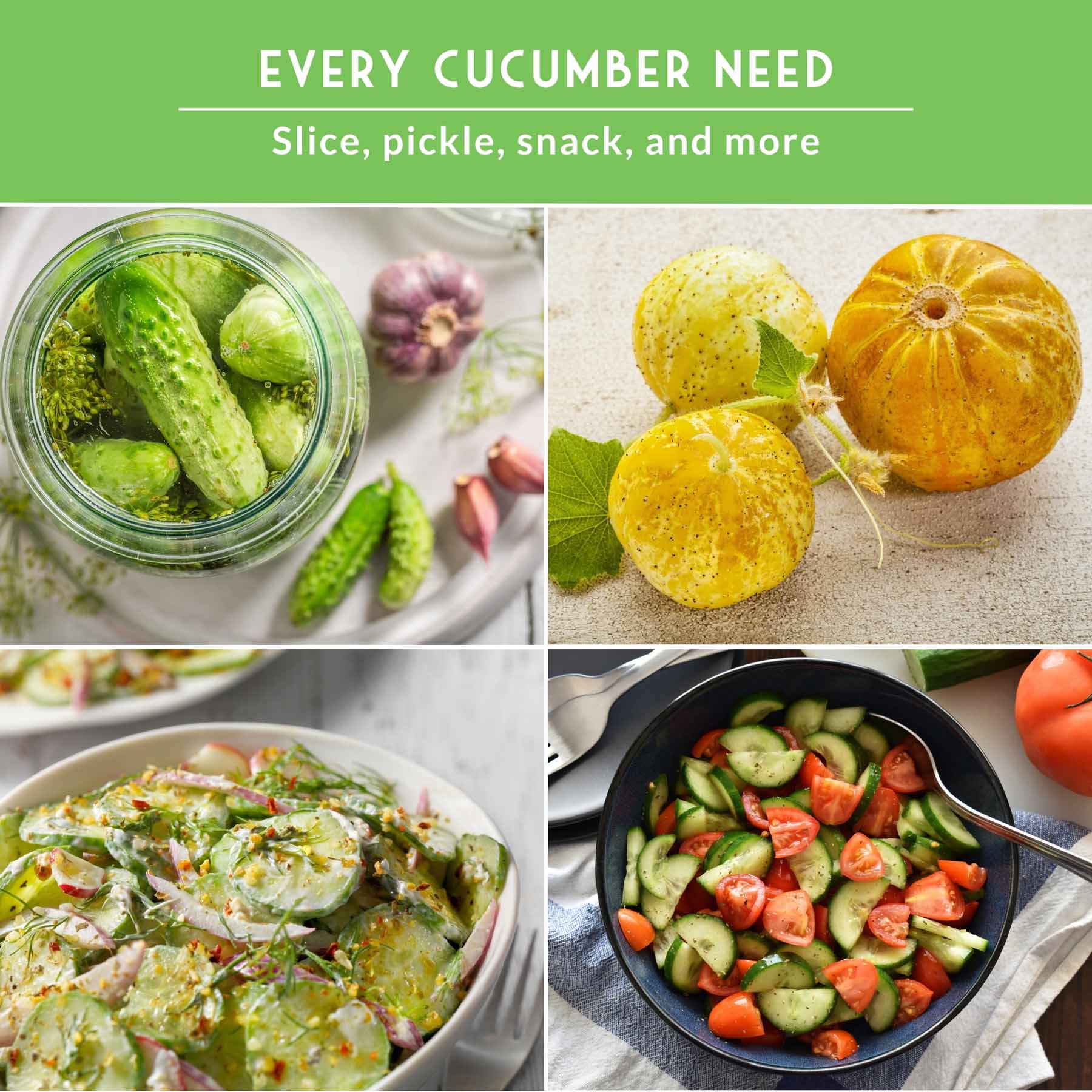 Cucumber Seed Collection – Armenian, Beit Alpha, Lemon, National Pickling & Spacemaster Varieties