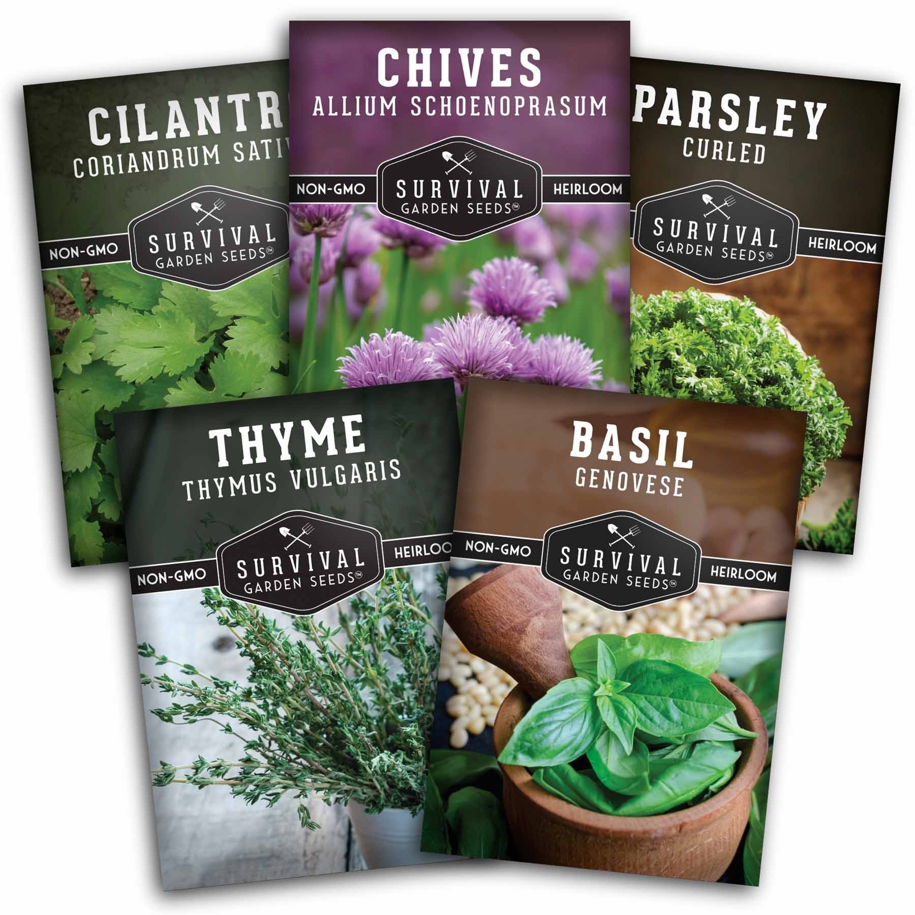 Culinary Herb Seed Collection – 5 Essential Kitchen Herbs for Indoor or Outdoor Growing