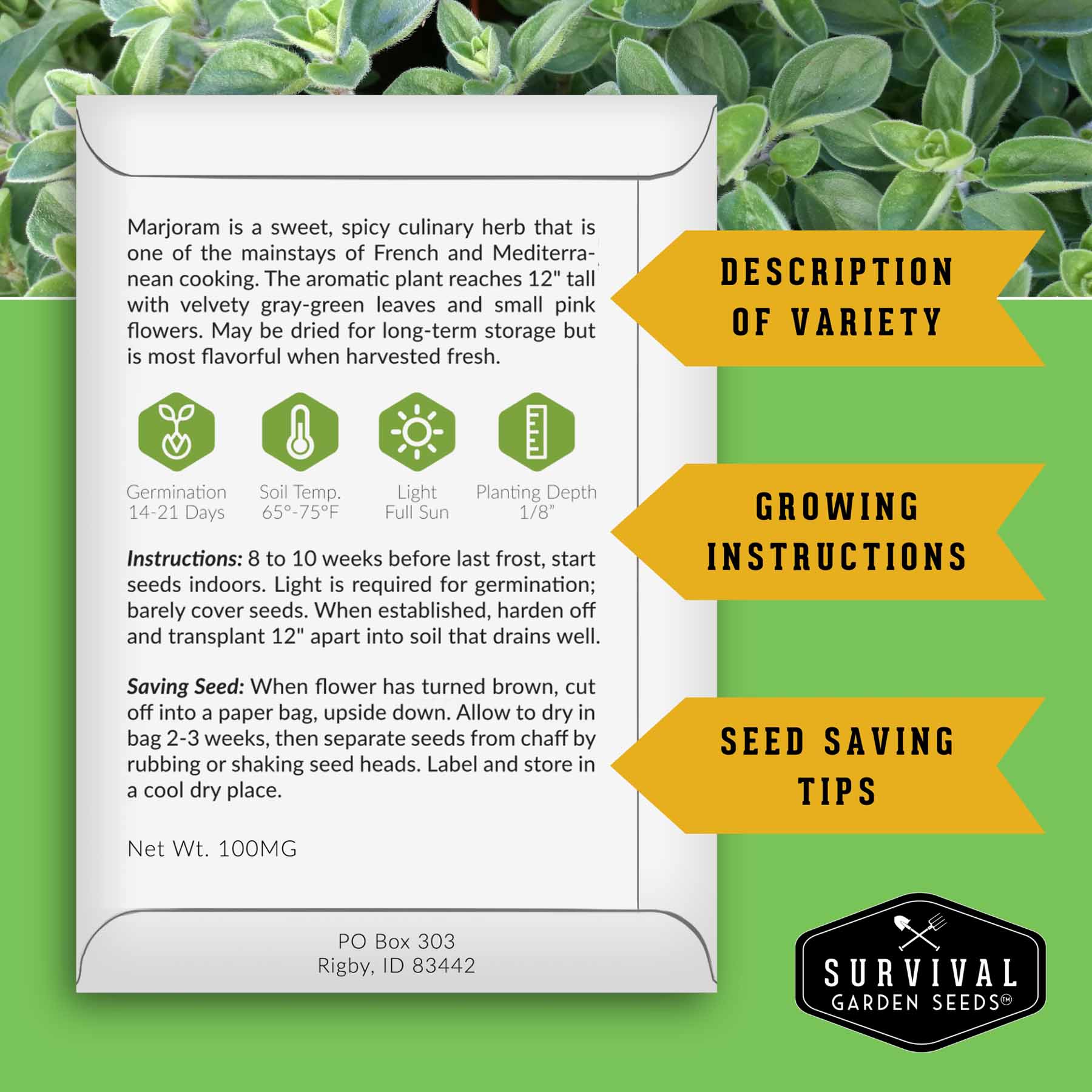 Drought Tolerant Seed Collection - 8 Hardy Herbs and Flowers