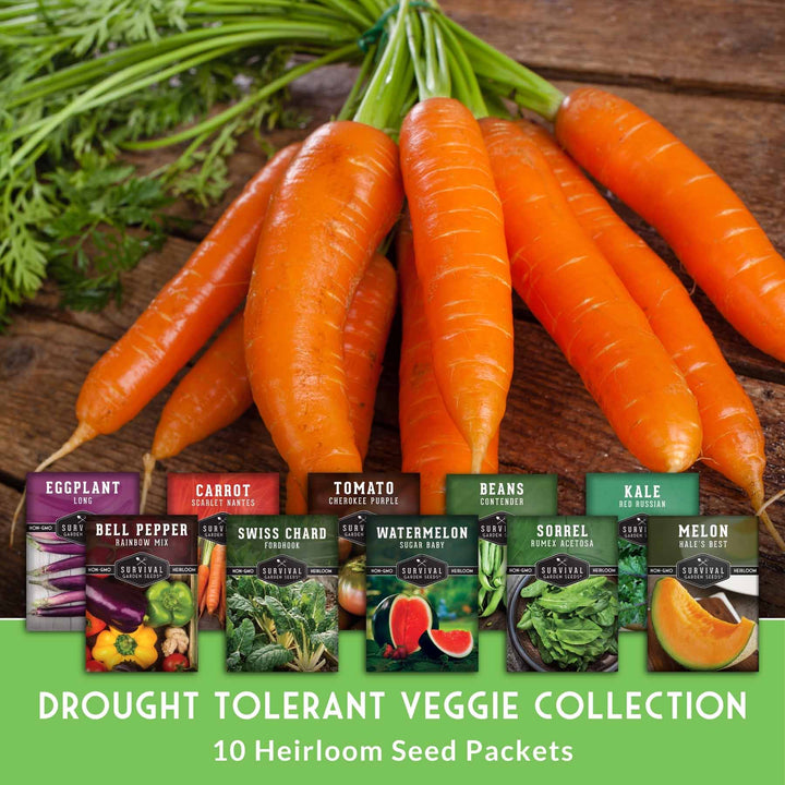 Drought-Tolerant Vegetable Seeds Variety Pack – 10 Heat-Resilient, Full-Sun Garden Favorites for Dry Climate Growing