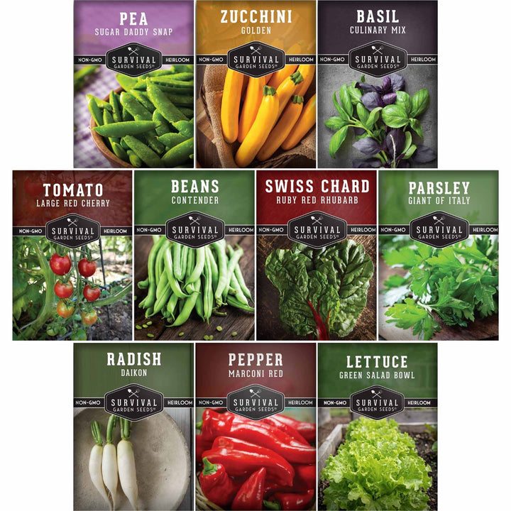 Easy-to-Grow Seed Collection – Beginner-Friendly Vegetables &amp; Herbs for Quick, Reliable Harvests
