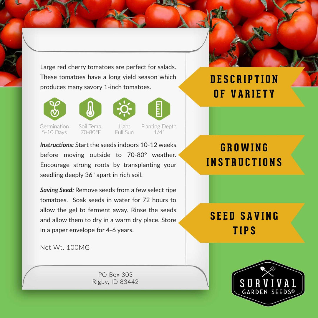 Easy-to-Grow Seed Collection – Beginner-Friendly Vegetables &amp; Herbs for Quick, Reliable Harvests