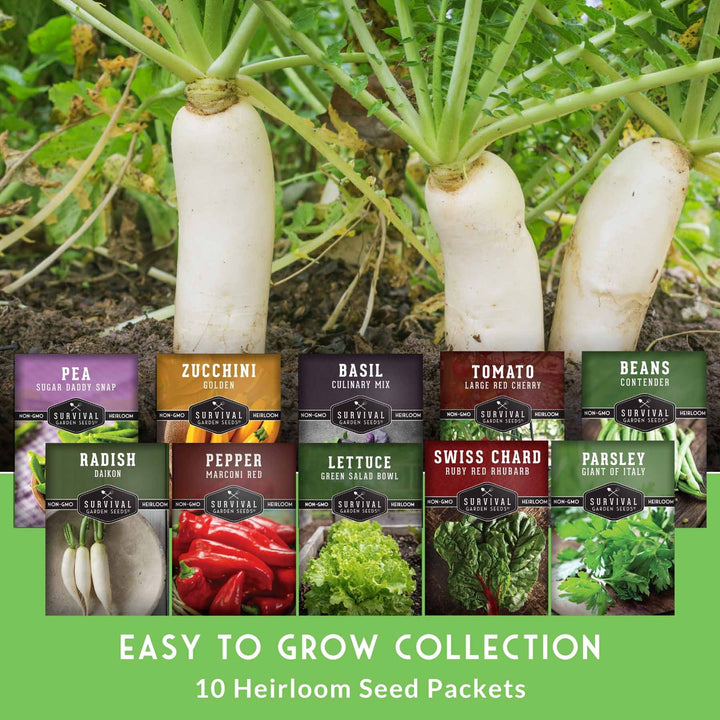 Easy-to-Grow Seed Collection – Beginner-Friendly Vegetables &amp; Herbs for Quick, Reliable Harvests