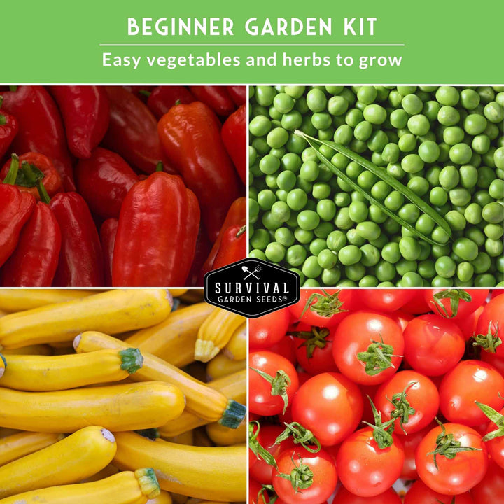 Easy-to-Grow Seed Collection – Beginner-Friendly Vegetables &amp; Herbs for Quick, Reliable Harvests