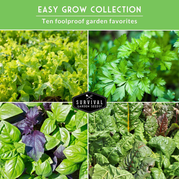 Easy-to-Grow Seed Collection – Beginner-Friendly Vegetables &amp; Herbs for Quick, Reliable Harvests