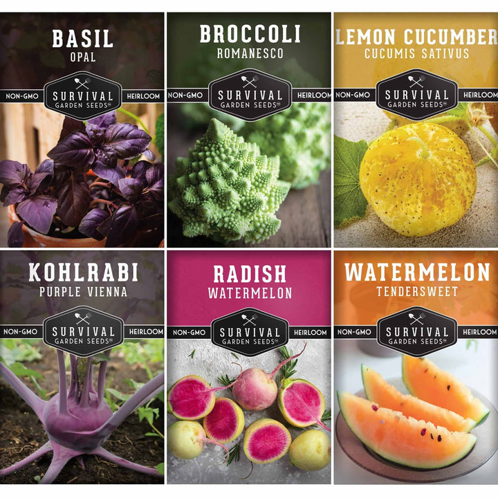 Rare Exotic Vegetable &amp; Fruit Seeds – 6 Variety Heirloom Pack with Romanesco Broccoli, Watermelon Radish, Lemon Cucumber, and More