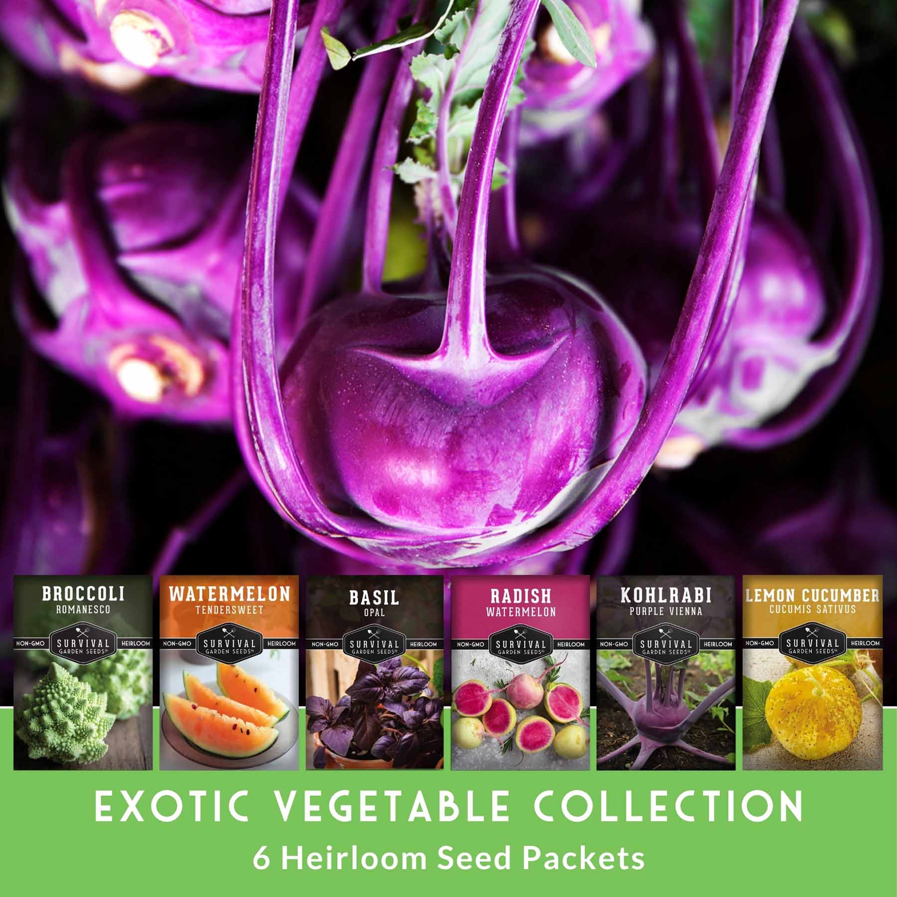 Rare Exotic Vegetable & Fruit Seeds – 6 Variety Heirloom Pack with Romanesco Broccoli, Watermelon Radish, Lemon Cucumber, and More