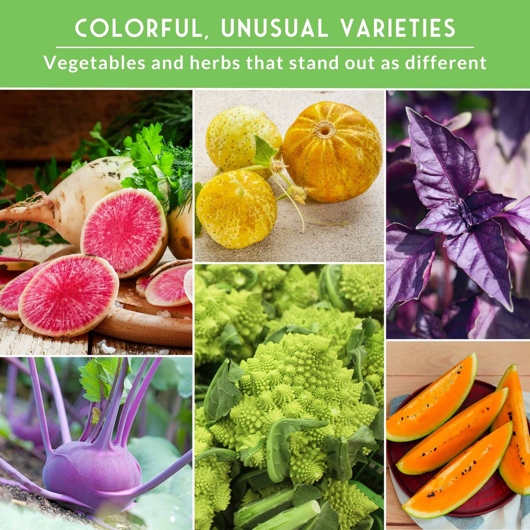Rare Exotic Vegetable &amp; Fruit Seeds – 6 Variety Heirloom Pack with Romanesco Broccoli, Watermelon Radish, Lemon Cucumber, and More
