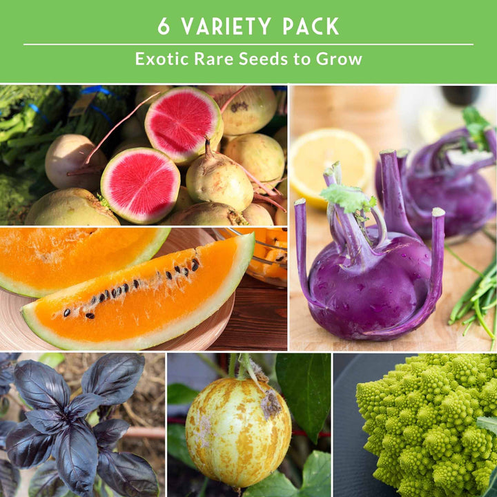 Rare Exotic Vegetable &amp; Fruit Seeds – 6 Variety Heirloom Pack with Romanesco Broccoli, Watermelon Radish, Lemon Cucumber, and More