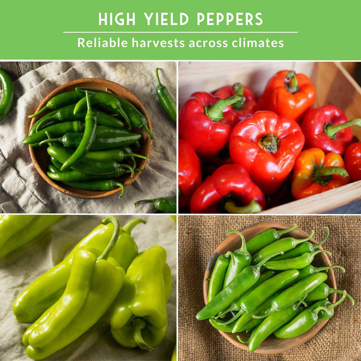 4 Pepper Seed Collection – Heirloom Non-GMO Hot &amp; Sweet Peppers for Salsas, Roasting &amp; Fresh Garden Harvests