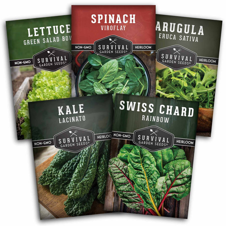 Greens Seeds Collection – 5 Heirloom Leafy Superfoods for Year-Round Growing Indoors or Outdoors