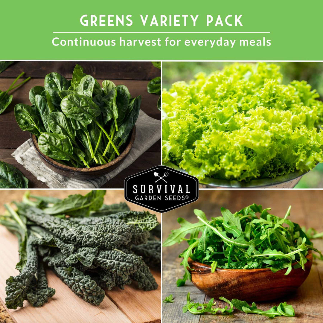 Greens Seeds Collection – 5 Heirloom Leafy Superfoods for Year-Round Growing Indoors or Outdoors