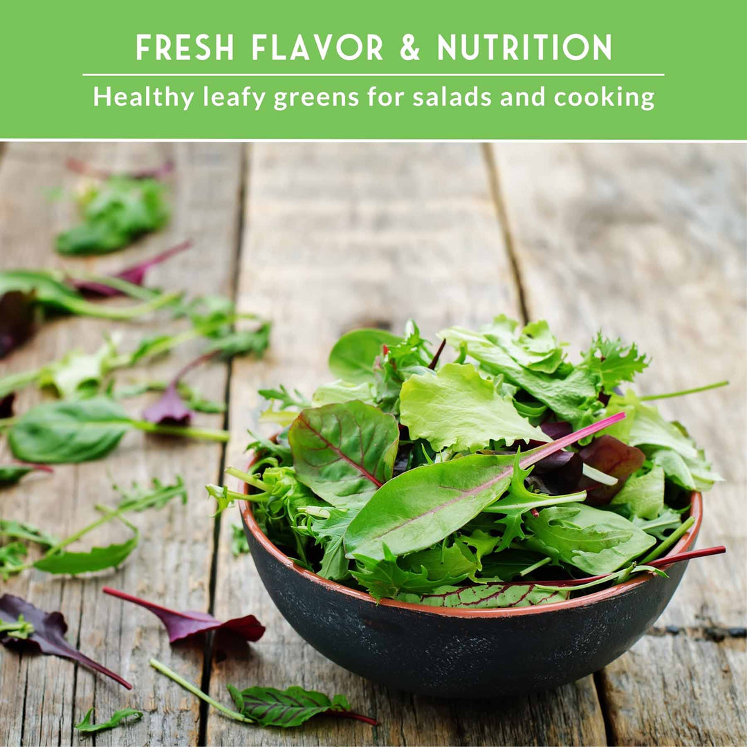 Greens Seeds Collection – 5 Heirloom Leafy Superfoods for Year-Round Growing Indoors or Outdoors