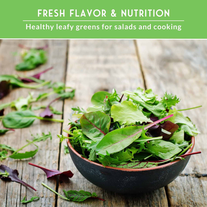 Greens Seeds Collection – 5 Heirloom Leafy Superfoods for Year-Round Growing Indoors or Outdoors