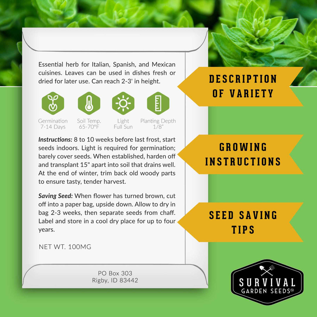 Indoor Herb Garden Seeds Variety Pack – 10 Heirloom Culinary Herbs for Windowsill or Container Growing