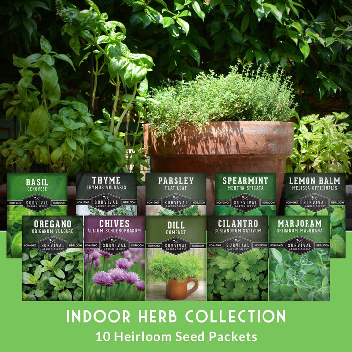 Indoor Herb Garden Seeds Variety Pack – 10 Heirloom Culinary Herbs for Windowsill or Container Growing