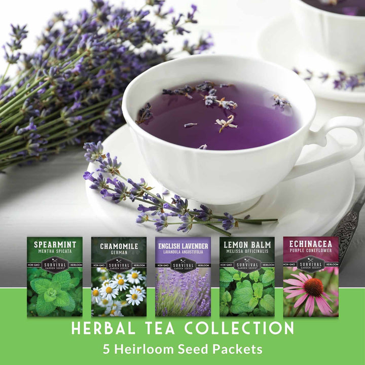 Herbal Tea Garden Seeds Kit – 5 Heirloom Medicinal Herbs for Soothing Teas, Remedies &amp; Pollinator-Friendly Gardens