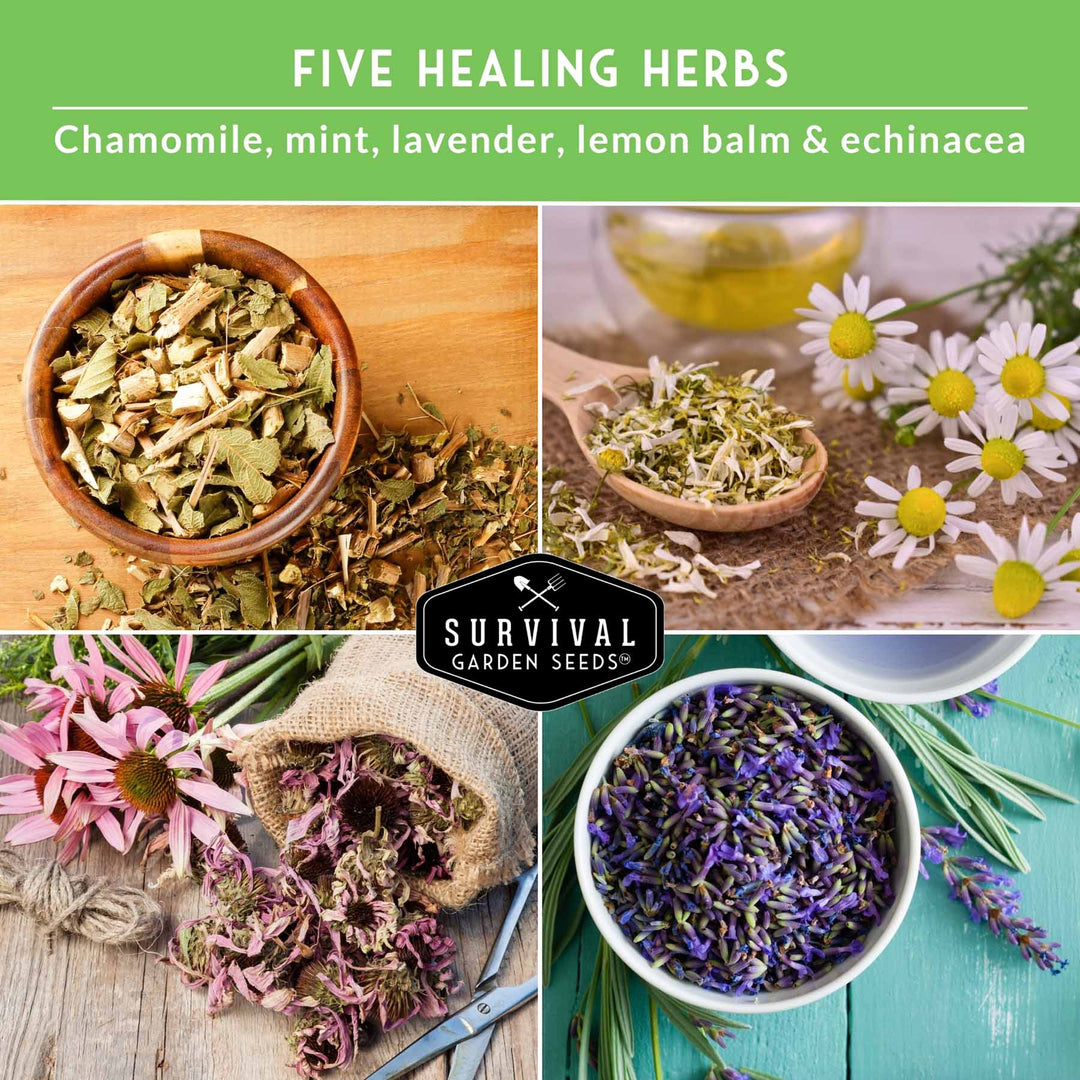Herbal Tea Garden Seeds Kit – 5 Heirloom Medicinal Herbs for Soothing Teas, Remedies &amp; Pollinator-Friendly Gardens