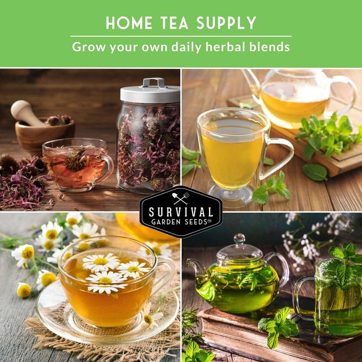 Herbal Tea Garden Seeds Kit – 5 Heirloom Medicinal Herbs for Soothing Teas, Remedies &amp; Pollinator-Friendly Gardens