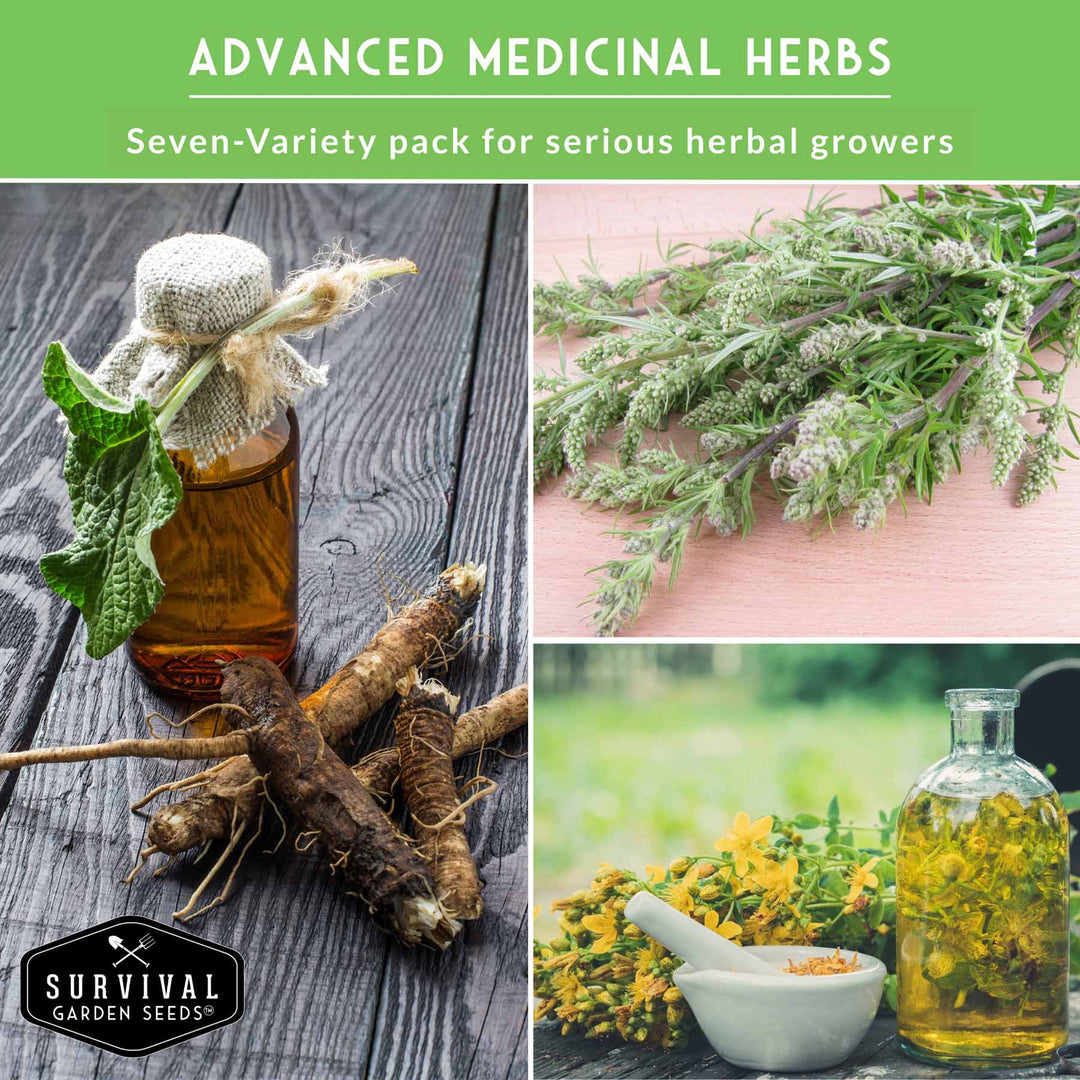 Herbalist Bundle – 8-Varieties of Heirloom Perennial &amp; Biennial Healing Plants for Advanced Apothecary Gardens