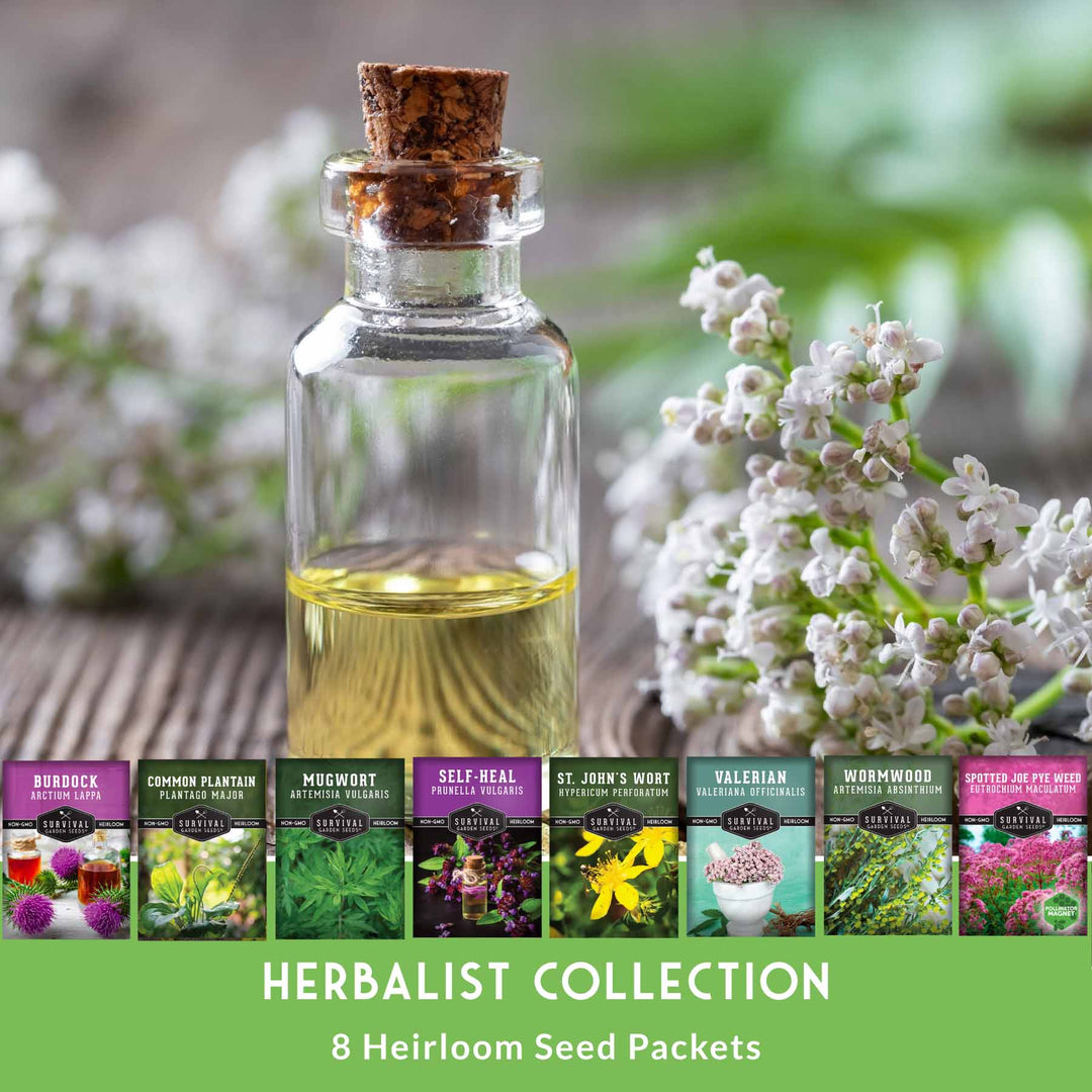 Herbalist Bundle – 8-Varieties of Heirloom Perennial &amp; Biennial Healing Plants for Advanced Apothecary Gardens