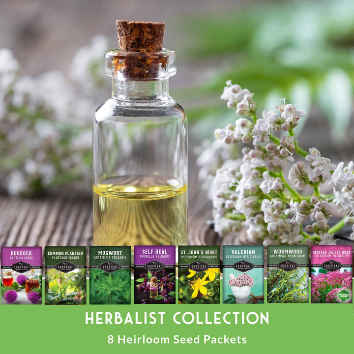 Herbalist Bundle – 8-Varieties of Heirloom Perennial &amp; Biennial Healing Plants for Advanced Apothecary Gardens