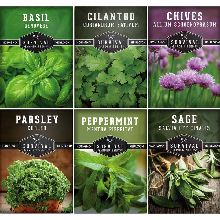 Indoor Herb Garden Hydroponic Seeds Collection – 6 Heirloom Non-GMO Culinary Herbs for Countertop, Tower &amp; Year-Round Growing