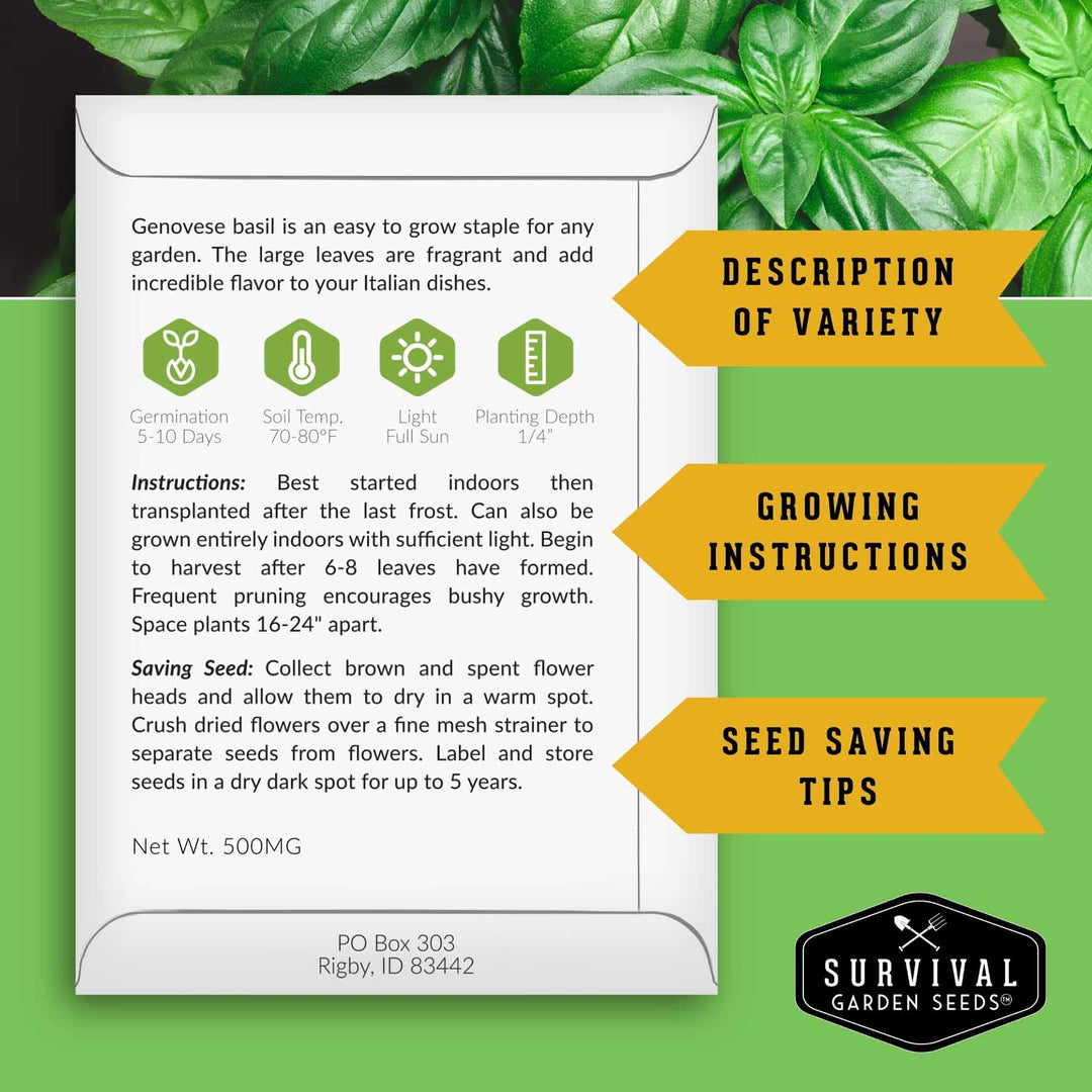 Indoor Herb Garden Hydroponic Seeds Collection – 6 Heirloom Non-GMO Culinary Herbs for Countertop, Tower &amp; Year-Round Growing