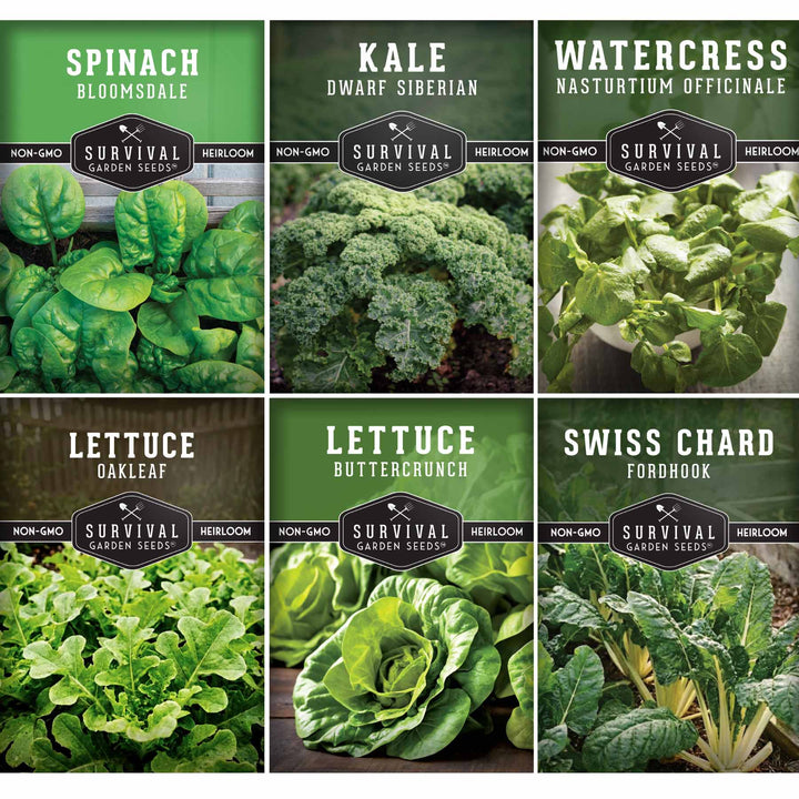 Hydroponic Vegetable Seeds Kit – 6 Heirloom Leafy Greens for Aerogardens, Towers &amp; Indoor Year-Round Growing