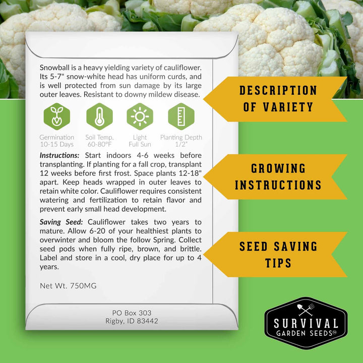 Indian Vegetable Seed Collection – 10 Heirloom Non-GMO Seeds for Authentic Indian Cuisine and Home Gardens