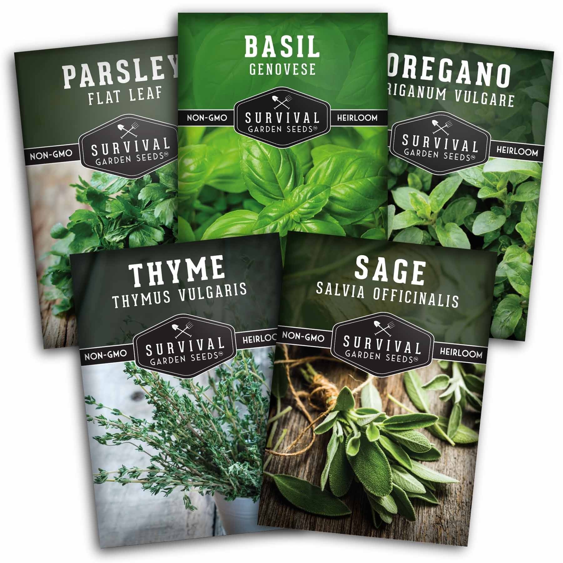 Italian Herb Seeds Collection – Genovese Basil, Oregano, Thyme, Sage, and Flat-Leaf Parsley for Indoor or Outdoor Culinary Gardens