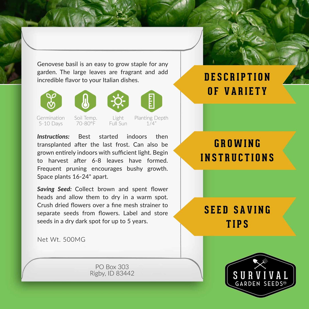 Italian Herb Seeds Collection – Genovese Basil, Oregano, Thyme, Sage, and Flat-Leaf Parsley for Indoor or Outdoor Culinary Gardens