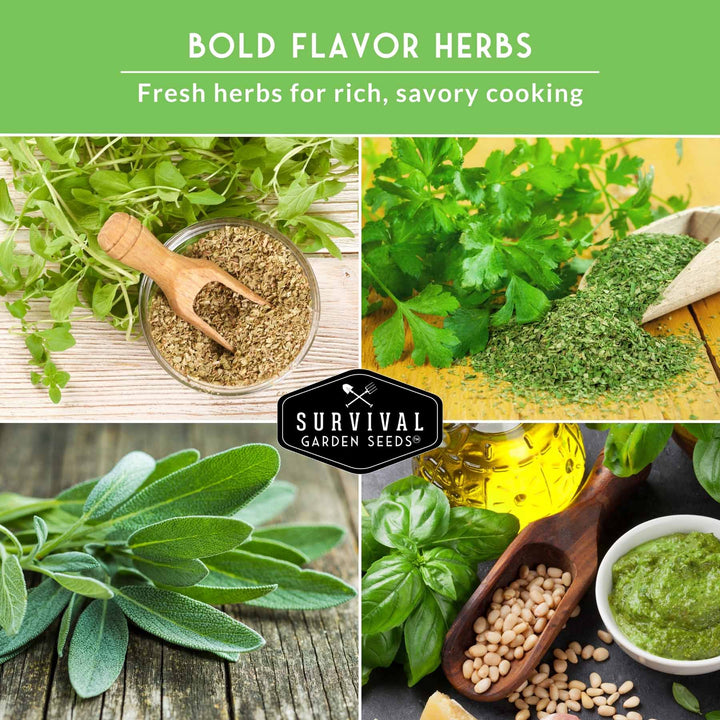 Italian Herb Seeds Collection – Genovese Basil, Oregano, Thyme, Sage, and Flat-Leaf Parsley for Indoor or Outdoor Culinary Gardens
