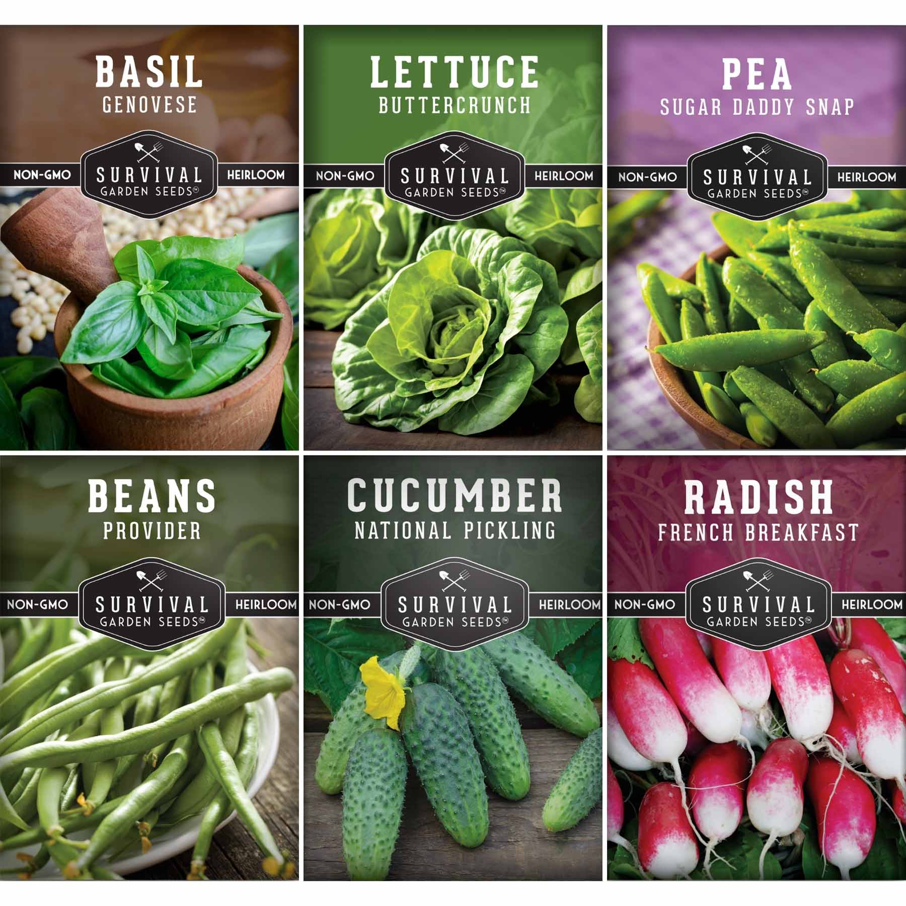 Kid’s Easy Garden Seed Collection – 6 Fast-Growing Vegetables & Herbs for Beginner Gardeners