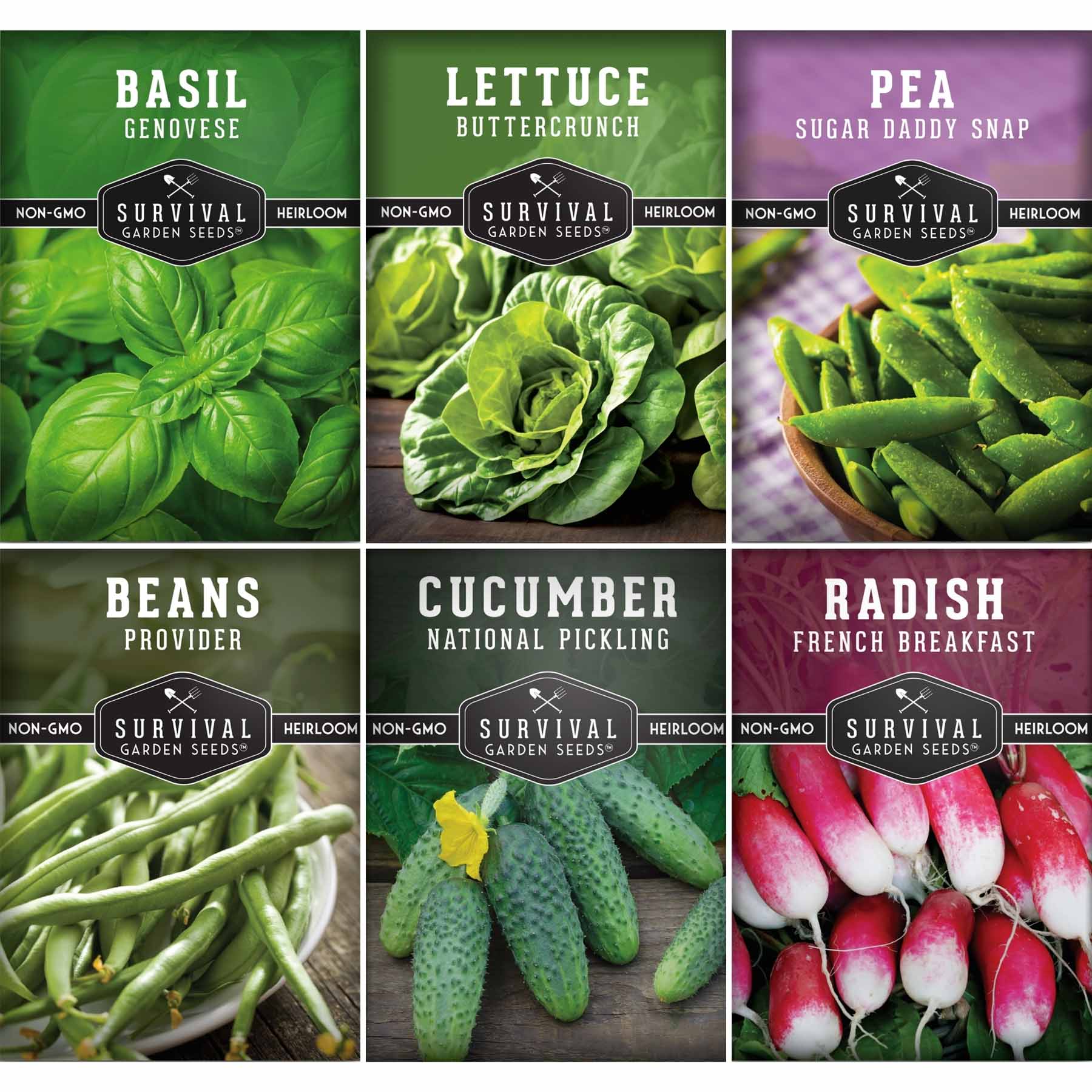 Kid’s Easy Garden Seed Collection – 6 Fast-Growing Vegetables & Herbs for Beginner Gardeners