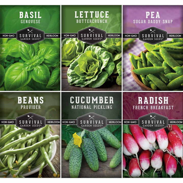 Kid’s Easy Garden Seed Collection – 6 Fast-Growing Vegetables &amp; Herbs for Beginner Gardeners