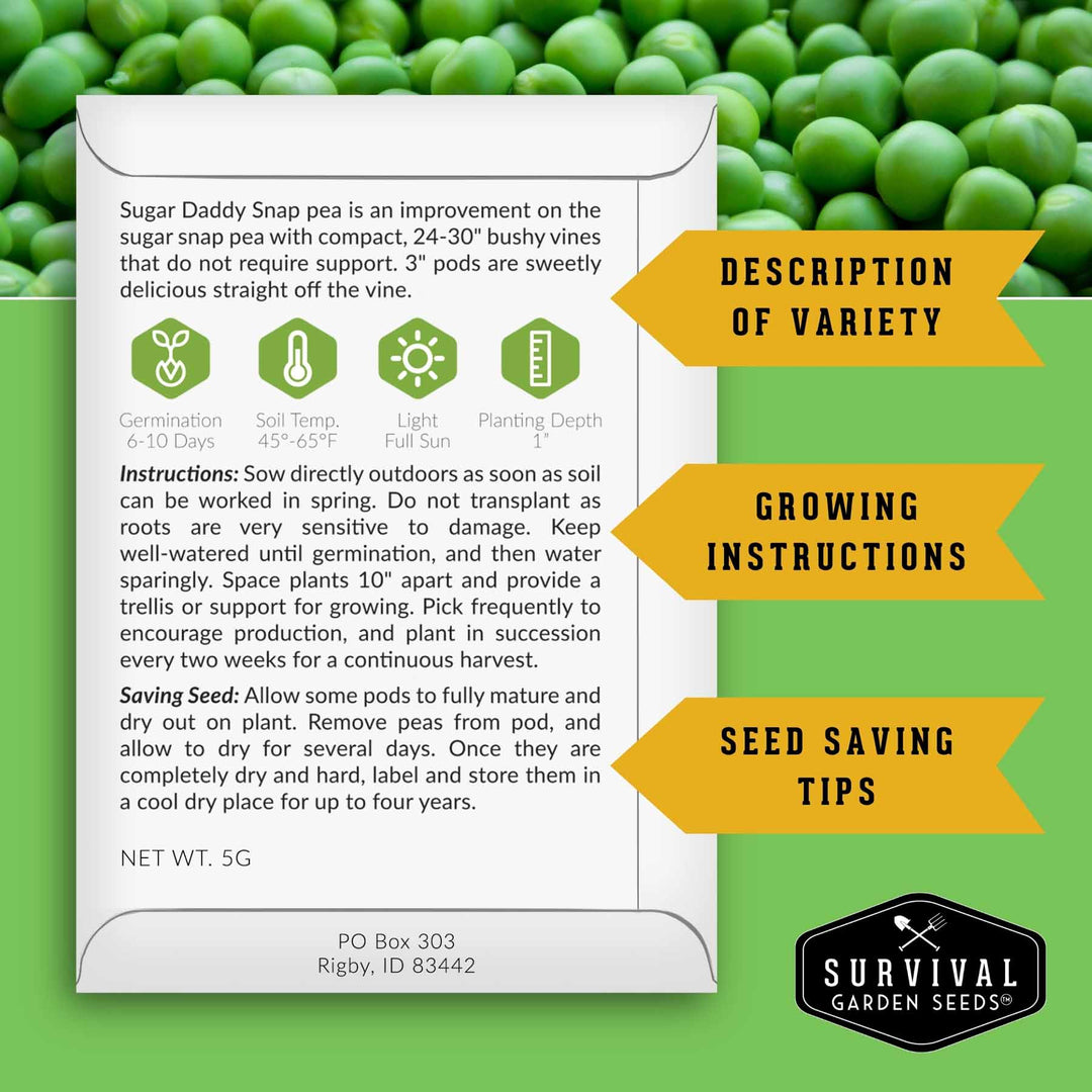 Kid’s Easy Garden Seed Collection – 6 Fast-Growing Vegetables &amp; Herbs for Beginner Gardeners