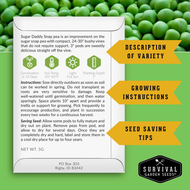 Kid’s Easy Garden Seed Collection – 6 Fast-Growing Vegetables &amp; Herbs for Beginner Gardeners
