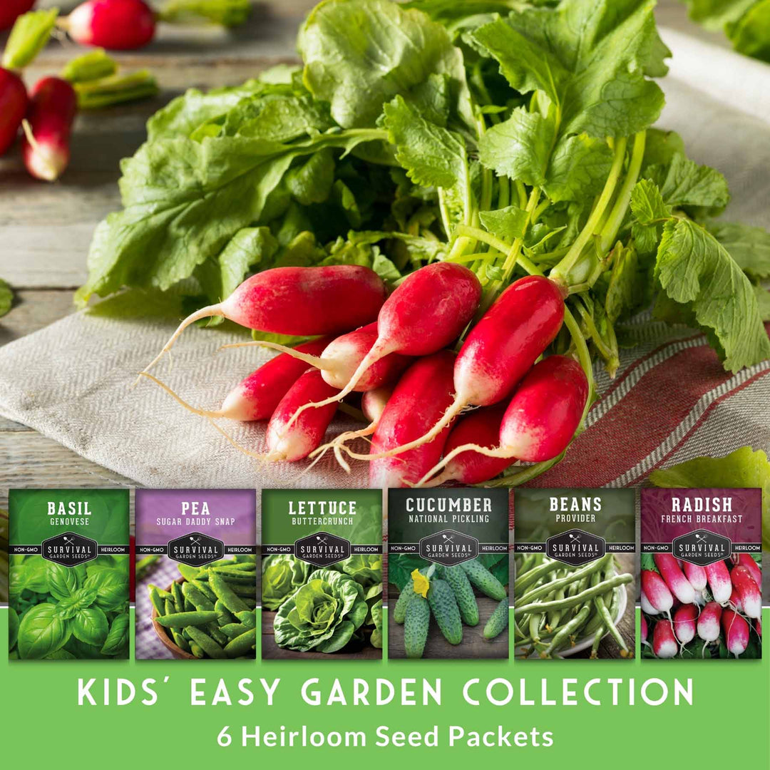 Kid’s Easy Garden Seed Collection – 6 Fast-Growing Vegetables &amp; Herbs for Beginner Gardeners