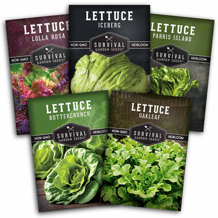 Lettuce Seed Collection – 5 Heirloom Varieties for Year-Round Harvest | Buttercrunch, Oakleaf, Lolla Rosa, Iceberg &amp; Parris Island