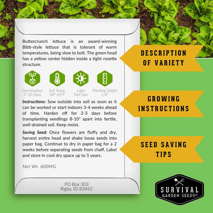 Lettuce Seed Collection – 5 Heirloom Varieties for Year-Round Harvest | Buttercrunch, Oakleaf, Lolla Rosa, Iceberg &amp; Parris Island