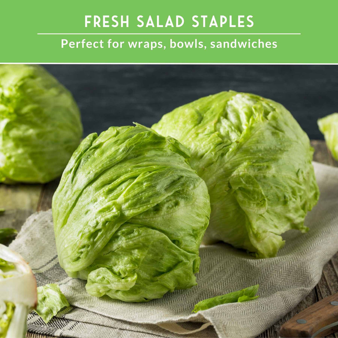 Lettuce Seed Collection – 5 Heirloom Varieties for Year-Round Harvest | Buttercrunch, Oakleaf, Lolla Rosa, Iceberg &amp; Parris Island
