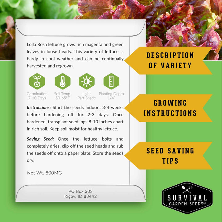 10 Lettuce Seed Collection – Looseleaf, Romaine, Butterhead &amp; Crisphead Varieties for Year-Round Salad Harvests