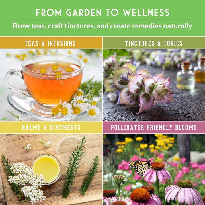 Medicinal Herb Garden - 36 Heirloom Seed Varieties for a Wellness Garden